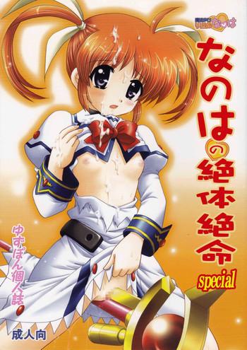 nanoha no zettai zetsumei special cover