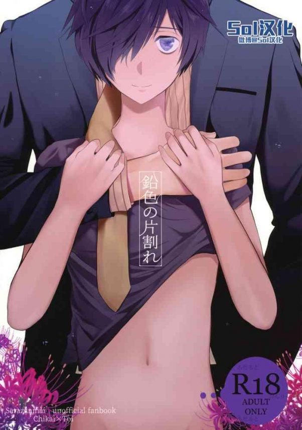 namariiro no kataware cover