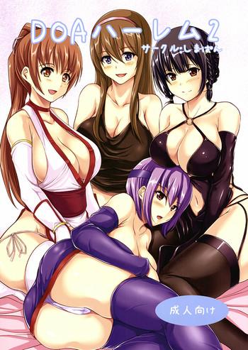 doa harem 2 cover