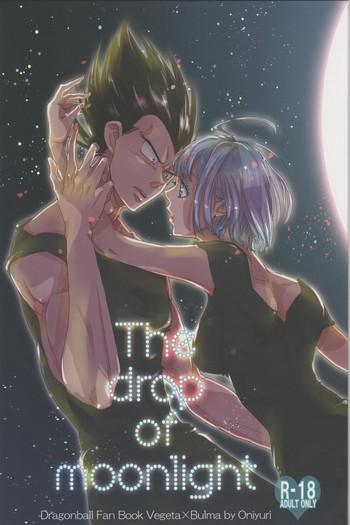 the drop of moonlight cover 1