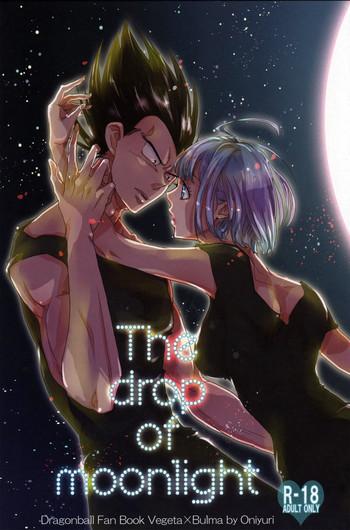 the drop of moonlight cover