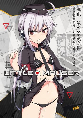 little mauser cover 1