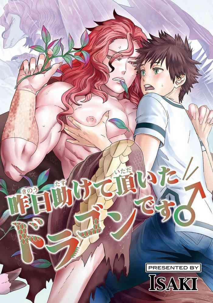 kinou tasukete itadaita dragon desu 1 3 cover