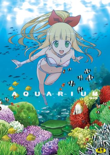 aquarium ver 2 00 cover