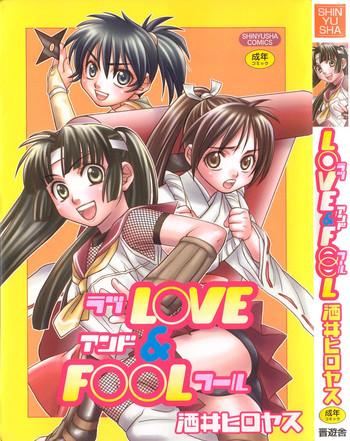 love fool cover