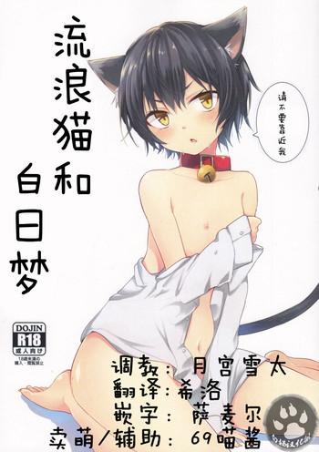 nora neko to hakuchuumu cover