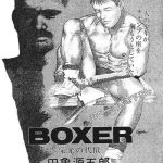 boxer cover