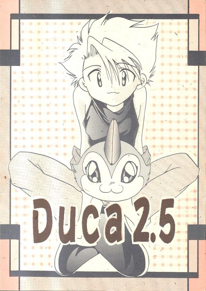 duca 2 5 cover