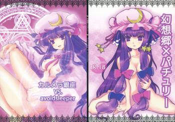 gensokyo x patchouli cover