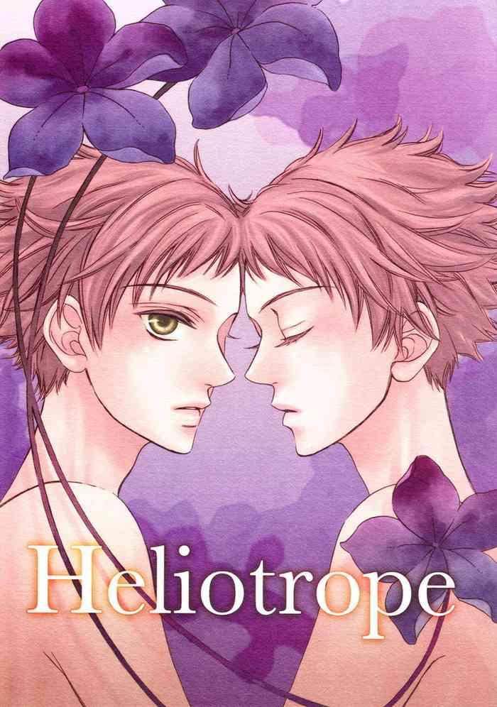 heliotrope cover