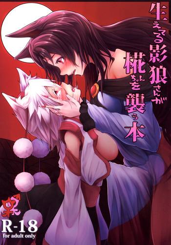 reitaisai 11 tecoya yatsugi teco haeteru kagerou san ga momiji chan wo osou hon touhou project cover