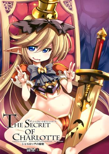 the secret of charlotte paper cover