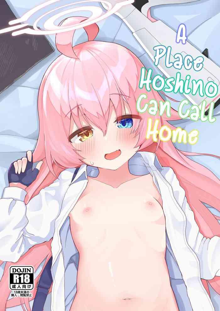 hoshino kaerubasho a place hoshino can call home cover