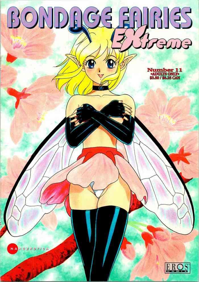 bondage fairies extreme 11 cover