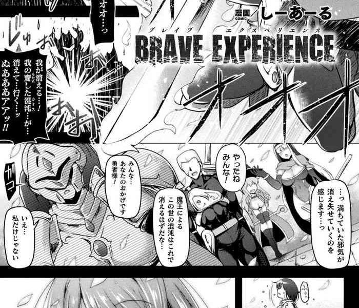 brave experience cover