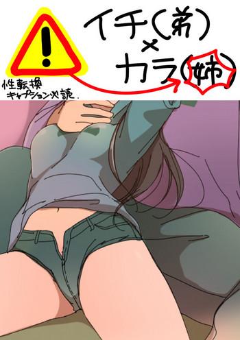 cover 8