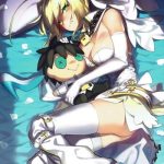platinum bride hakkin no hanayome cover